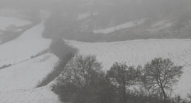 Edirne'de kar yağışı etkili oluyor