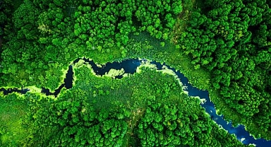 Gelecek için L'Oreal Programı kapsamında 200 milyon avroluk fonlar oluşturuldu