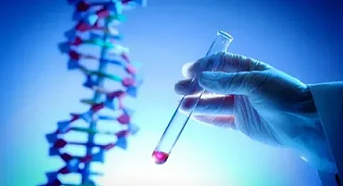 Genetik bilimi kalıtsal ve kompleks hastalıkların risk değerlendirmesinde kritik rol oynuyor