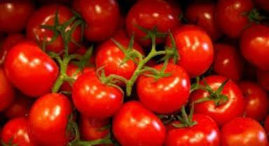 İlk çeyrekte 161 milyon dolarlık domates ihracatı yapıldı