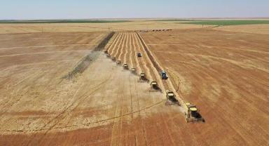 IPARD III Programı kapsamında 6'ncı başvuru çağrı ilanı yayımlandı