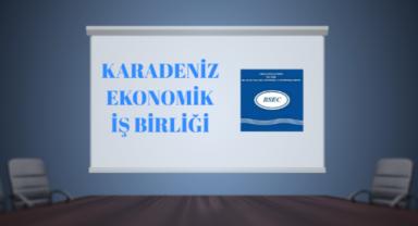 Karadeniz Ekonomik İşbirliği Parlamenter Asamblesi toplantısı Bükreş'te yapıldı
