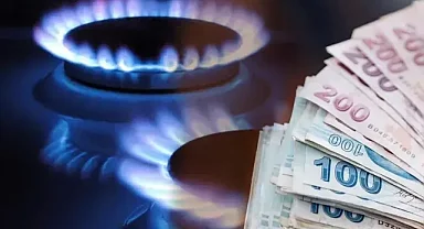 Kömür ve petrolden uzaklaşan enerji politikaları 2024'te gaz tüketimini artırdı