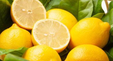 Limon ihracatı yarından itibaren geçici olarak durdurulacak