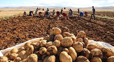 Martta fiyatı en çok artan ürün patates, en fazla düşen hava yolu ile yolcu taşımacılığı oldu