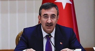 Nüfus Politikaları Teknik Toplantısı Cumhurbaşkanlığı Külliyesi'nde yapıldı