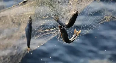 Su ürünleri av sezonu bugün sona eriyor