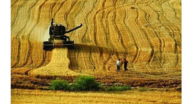 Tarım ÜFE martta aylık bazda yüzde 6,91 arttı