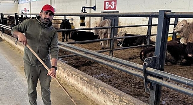 Tarlasının gübre ihtiyacını karşılamak için devletten aldığı destekle besi çiftliği kurdu