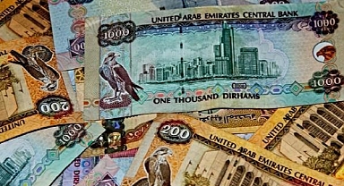 TCMB alım satıma konu olmayan döviz kurları