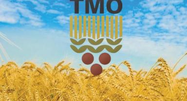 Toprak Mahsulleri Ofisi : Mart ve nisan yağışları hububata olumlu yansıdı