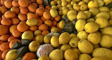 Turunçgilde yılın ilk çeyreğinde 433 milyon 75 bin dolarlık dış satım yapıldı