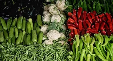 Yaş meyve sebze ve mamulleri sektörünün ihracat şampiyonları ödüllerini aldı