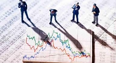 Yatırımcı rehberi (1)