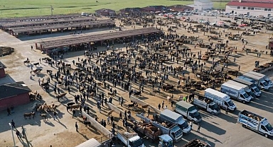 Ağrı Hayvan Borsası'nda kurbanlık hareketliliği başladı