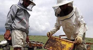 Arıcılara geçen yıl 984,6 milyon lira destekleme ödemesi yapıldı