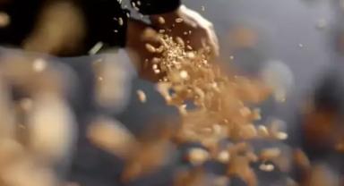 Bakan Yumaklı, Dünya Tohumculuk Kongresi'nde konuştu: