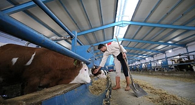 Dede mirası çiftçiliği devlet destekleriyle sürdürüyor