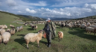 Küçükbaş hayvan üreticilerine 3,9 milyar liralık destek ödemesi bugün yapılacak