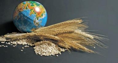 Küresel gıda krizi 