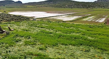 Osmaniye'deki sağanak ve dolu tarım arazilerine zarar verdi