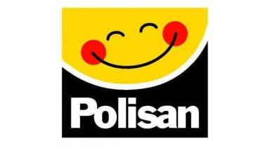 Polisan Holding'den 2025'in ilk çeyreğinde 246 milyon lira brüt kar