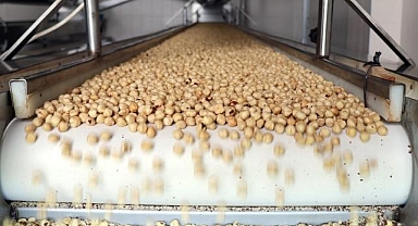 Tarım, gıda ve içecek sektöründen ilk çeyrekte 7,1 milyar dolar ihracat