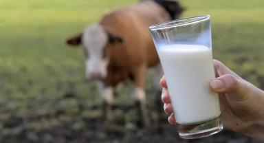 Toplanan inek sütü miktarı martta 1 milyon tonu aştı