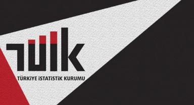 TÜİK'in 
