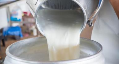 Türkiye'de çiğ süt üretiminin bu yıl 23 milyon tonu geçmesi bekleniyor