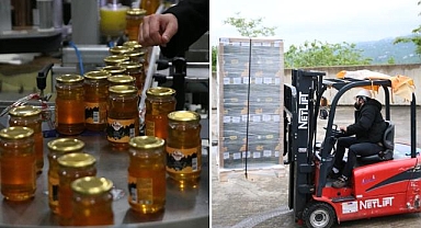 Türkiye'nin bal üretim şampiyonu Ordu'dan bin ton ihracat hedefi