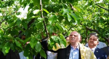 TZOB Genel Başkanı Bayraktar, Bilecik'te zirai dondan etkilenen kiraz bahçelerini inceledi