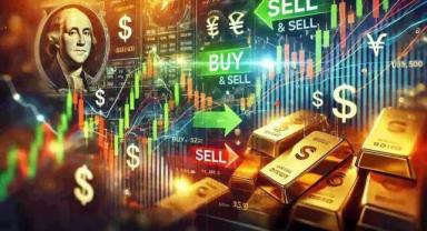 Yatırımcı rehberi (5)