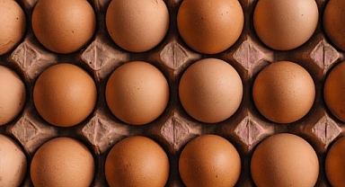 YUM-BİR Başkanı İbrahim Afyon yumurta fiyatlarını düşürmeyen marketlere tepki gösterdi: