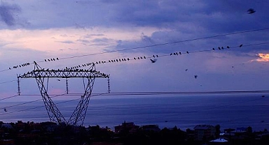 Günlük elektrik üretim ve tüketim verileri
