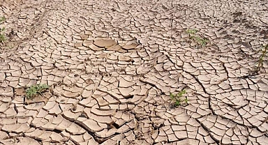 Kuraklık 2050 yılına kadar 1 milyar kişiyi göç ettirebilir