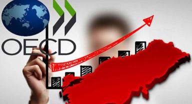OECD, Türkiye ekonomisinin bu yıl yüzde 2,9 büyüyeceğini tahmin etti
