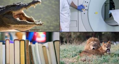 Dünyada temmuz ayında birçok sıra dışı ve tuhaf olay basına yansıdı
