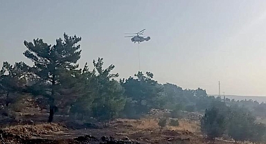 Mersin'de çıkan orman yangını kontrol altına alındı