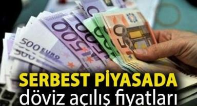 Serbest piyasada Döviz Kuru , Euro, Dolar Alış Satış