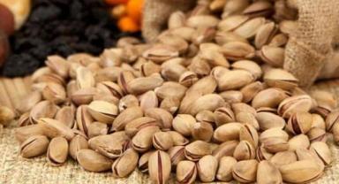Sezonun ilk Antep fıstığı mahsulü altınla ödüllendirildi