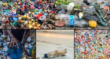 Sıfır Atık Vakfı, tek kullanımlık plastiklerin olumsuz etkilerini raporladı
