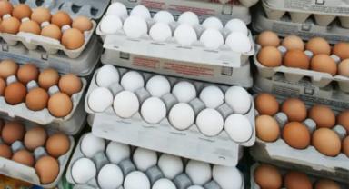 Sofralık yumurta ihracatında uygulanan fon kesintisi kaldırıldı
