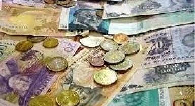 TCMB alım satıma konu olmayan döviz kurları