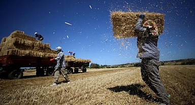 Trakya'da buğday hasadında sona yaklaşıldı