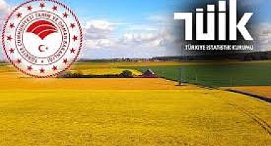 TÜİK, tarım sayımının detaylarını paylaştı