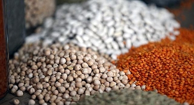 Türkiye'nin hububat ve bakliyat ihracatı yılın ilk yarısında yüzde 4,5 arttı