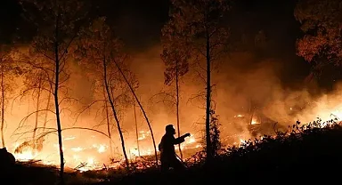Yunanistan'ın Mora Yarımadası'ndaki orman yangını bazı evlere ve tarım alanlarına zarar verdi