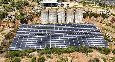 Antalya'da tropikal meyve bahçelerine kurulan GES enerji maliyetlerini düşürdü