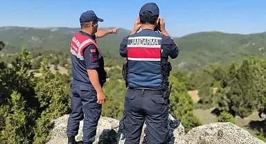 Aydın'da otluk ve zeytinlik alanda yangına neden oldukları iddiasıyla 2 şüpheli yakalandı